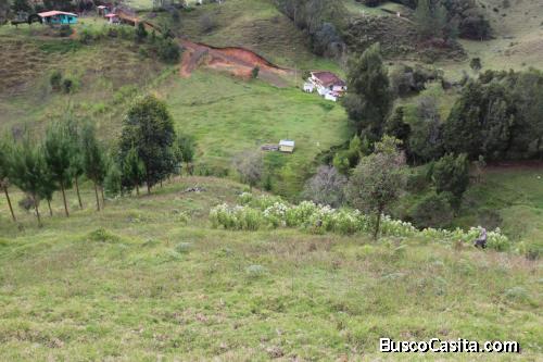 Lote en San Vicente- Antioquia 