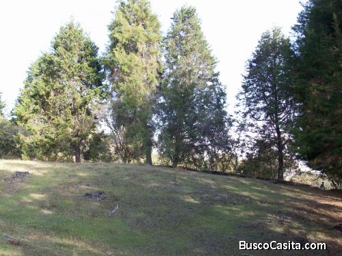 Lote en Guarne 51.000 M²