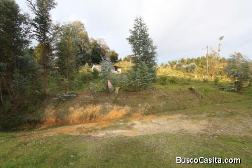 Lote en Guarne, vereda piedras Blancas 