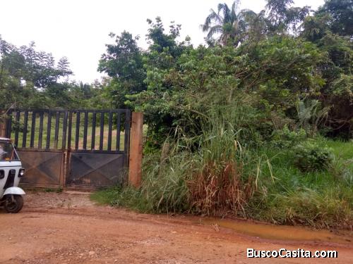 Vendo Finca Ganadera en el Municipio de Valle de San Juan