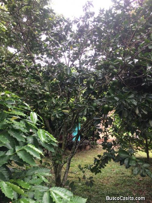 exclusiva zona condominios