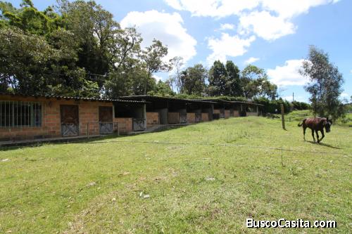 Lote en Rionegro para urbanizar