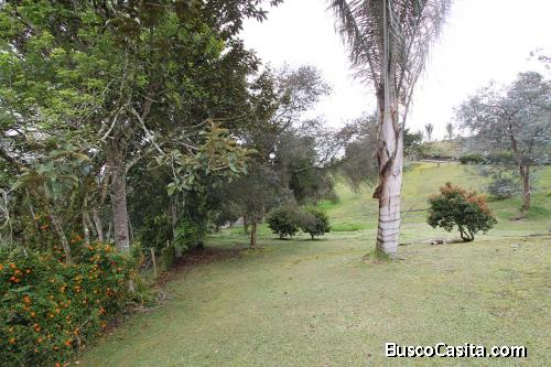 Lote variante Aeropuerto 