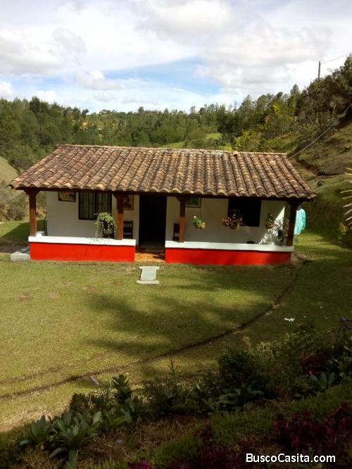 Finca en San Vicente 