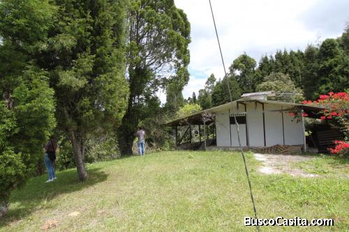 Casa lote en Guarne, vereda Hojas Anchas