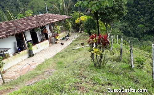 Finca lote entre Cocorná y San Luis