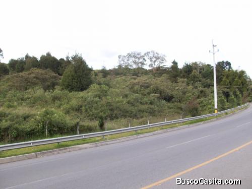 Lote industrial por el Rancherito (Guarne)