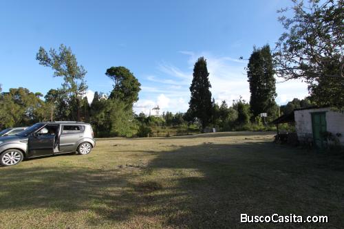 Lote industrial 42.000 M²