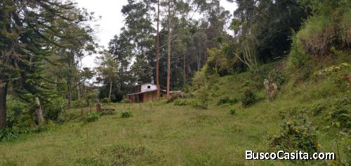 Lote en Guarne 4.000 M²