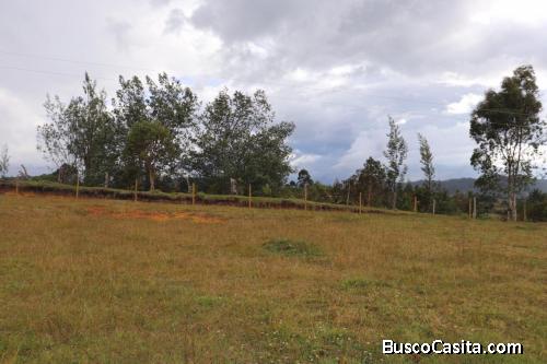 Lote en San Vicente- Antioquia 