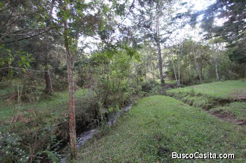 Lote en Girardota 25.600 M², vereda el Palmar 