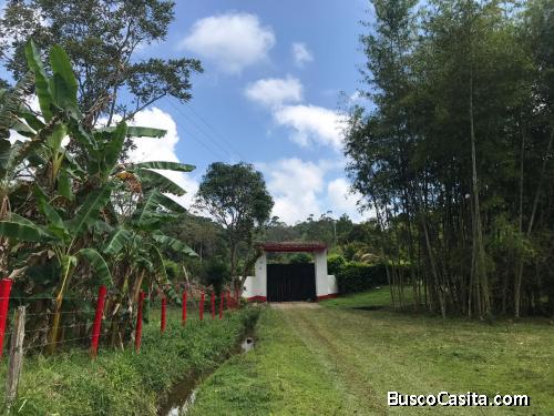 SE VENDE FINCA EN MARIQUITA TOLIMA 37 HECTAREAS 