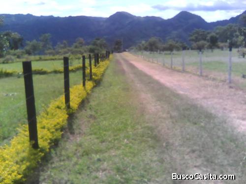 Se venden espectaculares  lotes  en Anolaima Cundinamarca