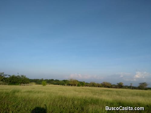 Execelente finca ganadera productiva 