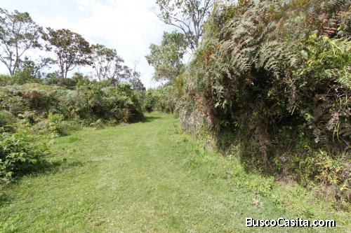 Lote para la venta en Guarne- vereda Yolombal 