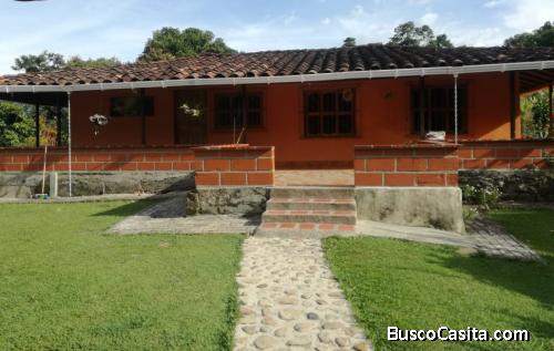 Finca para la venta en Támesis Antioquia 