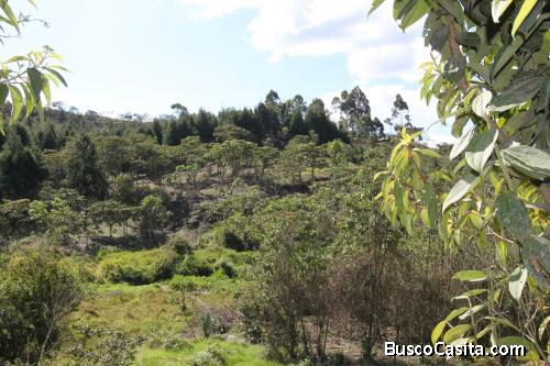 Lote industrial en venta Guarne -Vereda San José