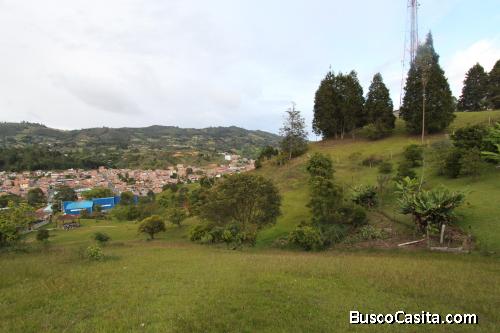 Lote Industrial en venta, Guarne 