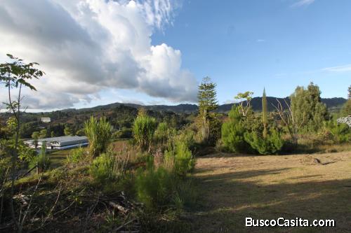 Lote industrial en venta Guarne-Antioquia 