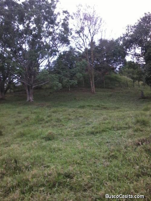 Lote industrial en venta Guarne-Antioquia 
