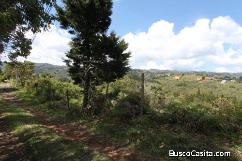 Lote para la venta en Guarne- vereda la mosquita 