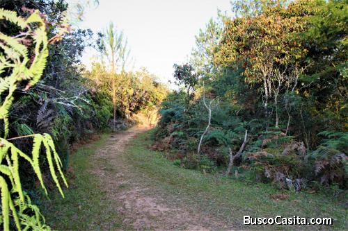 Lote para la venta en san Vicente- vereda Ovejas