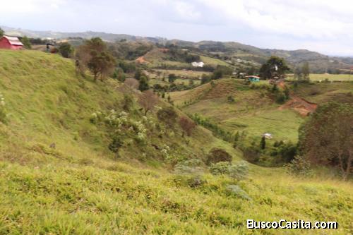 Lote para la venta en San Vicente- Antioquia 