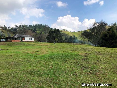 Lote en venta Guarne, vereda piedras Blancas 