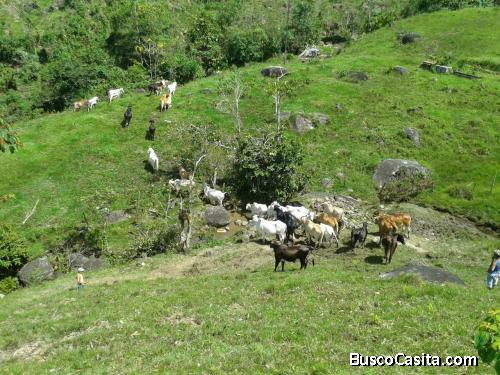 Lote para la venta en San Rafael- Antioquia 