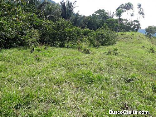 Finca lote en venta entre Cocorná y San Luis