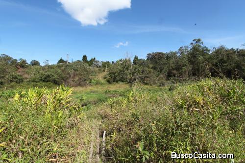 Lote industrial en venta Guarne -Vereda San José