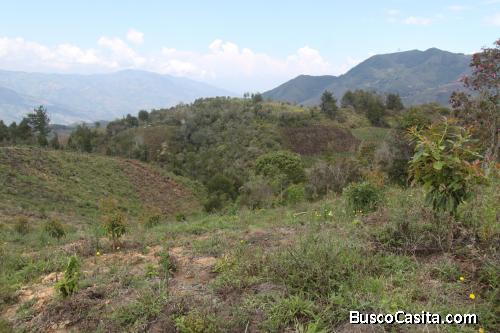 Lote en venta Guarne- Vereda el Guamito 