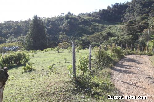 Lote en venta vereda la clarita- Guarne 
