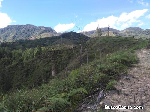 Lote para la venta en Barbosa- Antioquia