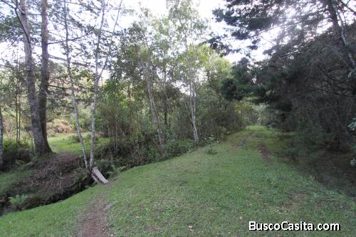 Lote en venta Girardota- vereda el Palmar 