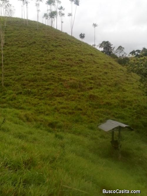  Finca en venta San Carlos Antioquia