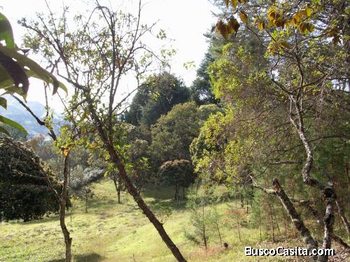 Lote para la venta en venta Guarne 51.000 M²