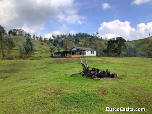 Lote en venta Guarne, vereda piedras Blancas 