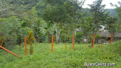 Lote para la venta en Cocorná 