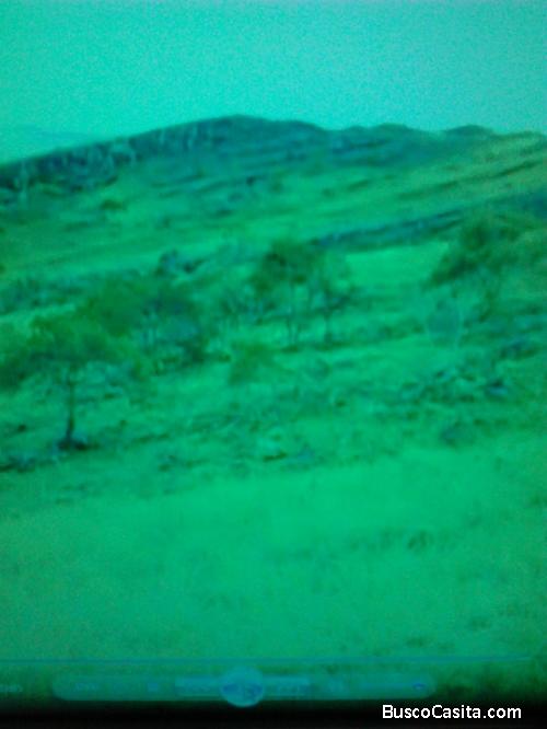 SE MAGNIFICA FINCA GANADERA EN CUNDAY TOLIMA 82 HECTAREAS BUEN PRECIO POR HECTAREA