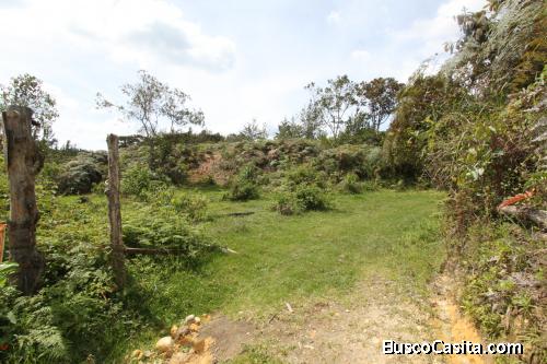 Lote para la venta en Guarne- vereda Yolombal 