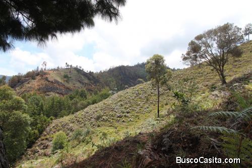 Lote en venta por el Parque Arví