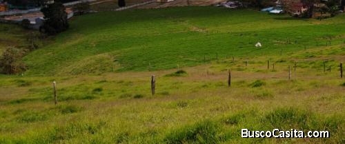 Lote comercial para la venta en Guarne  