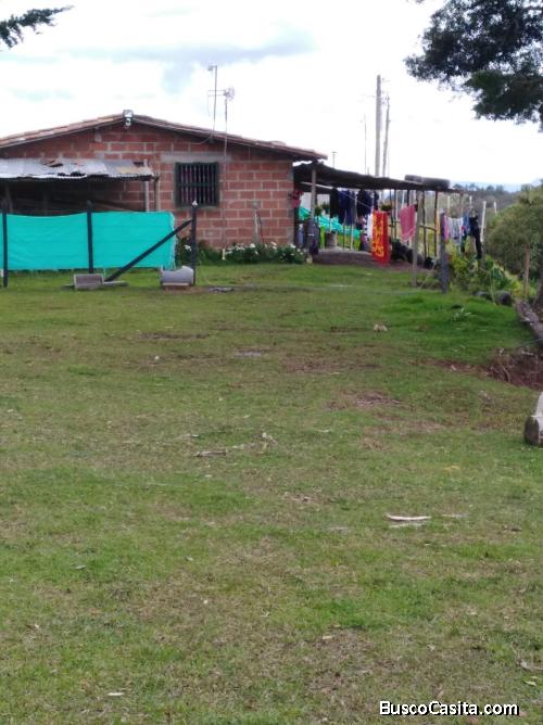 Finca en venta- San Vicente Antioquia 