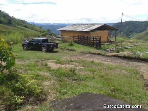 Lote para la venta en San Rafael- Antioquia 