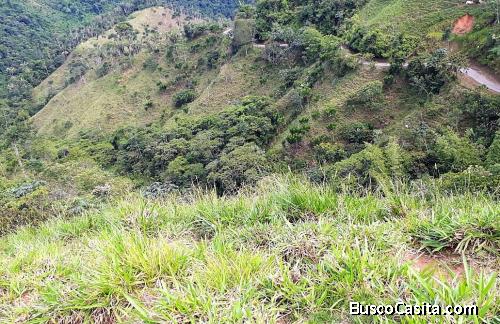 Finca lote en venta entre Cocorná y San Luis
