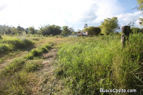 Lote industrial para la venta - Guarne Antioquia 