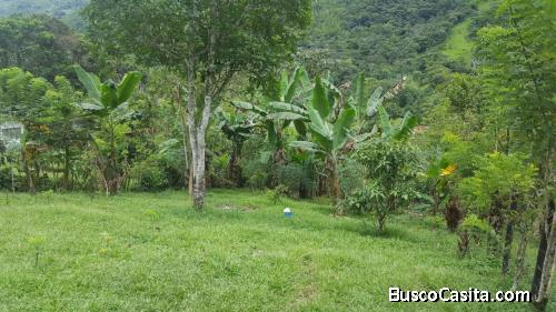 Lote para la venta en Cocorná 