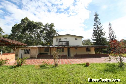 Finca en arriendo, Guarne