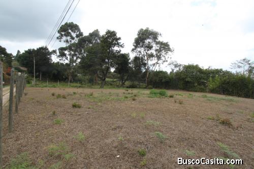 Lote para la venta en Guarne- vereda Toldas